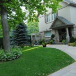property maintenance lawn grass gardening tree trimming pruning cleanup raking blowing