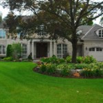 property maintenance lawn grass gardening tree trimming pruning cleanup raking blowing